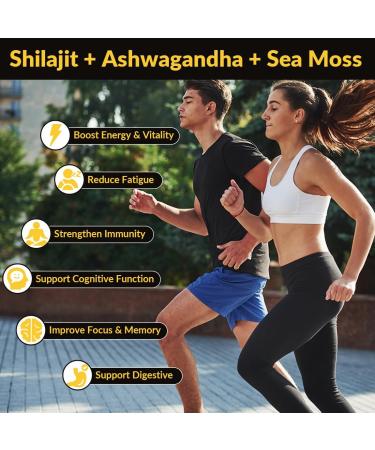 Ashwagandha Gummies Shilajit Black Seed Sea Moss Maca Root Turmeric All in One Supplement 60 Count (Pack of 2) - Buy Online on GoSupps.com