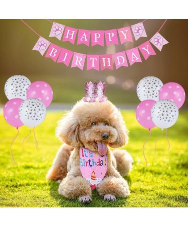 Dog Birthday Bandana Hat Banner Set | Pink Dog Party Decorations & Accessories for Boys & Girls - Buy Online on GoSupps.com