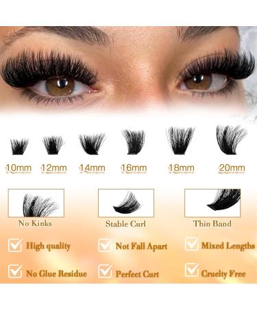 Fluffy 200D Lash Clusters - 224 Pcs 10-20mm D Curl Volume Eyelash Extensions | DIY Natural False Eyelashes at Home by Anforlin - Buy Online on GoSupps.com