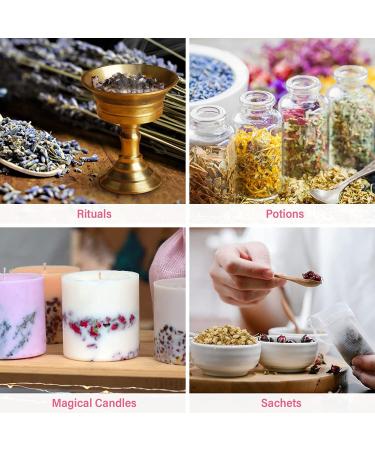 Rose Quartz Crystals Kit for Self-Love and Attracting Love - 28 Pcs Healing Stones Set in Wooden Box for Wicca, Reiki, Yoga Meditation - Buy Online on GoSupps.com