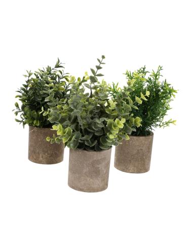 Zerodeko 3pcs Artificial Bonsai House Plants Para De Mujer Interior Flower Pots Indoor Faux Aloe Plant House Plant Pots Fake Ceramic Planter Plastic Household Small Potted Plants Office