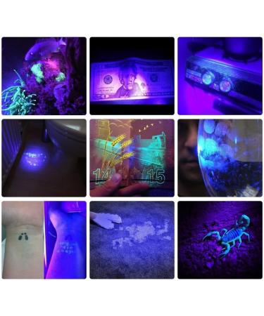 Alonefire SV005 395nm 10W LED UV Torch Blacklight Portable USB-C Rechargeable Flashlight Black Light Pet Urine Detector with Aluminium Case Battery Included for Pet Stains Hunting Fishing Minerals - Buy Online on GoSupps.com