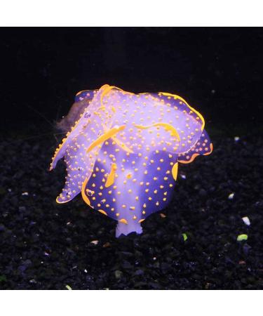 Shop N | 6-Piece Artificial Jellyfish & Glowing Silicone Mushrooms for Aquarium Decoration - Realistic Hydroponic Plants - Buy Online on GoSupps.com