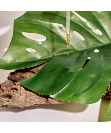 Maternatura Olive Leaves Hair Lotion | Anti-Hair Loss Treatment | Organic Beauty Routine | Made in Italy - 100ml - Buy Online on GoSupps.com