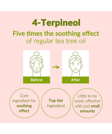 Hemp Beauty Face Serum for Dry Skin | Brightening Moisturizer w/ Hemp Seed Oil & Hyaluronic Acid | Vegan Skincare for Glowing Skin - Buy Online on GoSupps.com