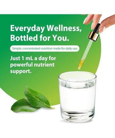 Rainbow Light Vitamin D3 + K2 as MK7 | 2 Fl Oz | 2 000IU Vitamin D | High Potency Formula | Vegetarian Non-GMO Gluten Free - Buy Online on GoSupps.com