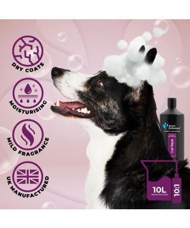 GROOM Professional Coat Repair Conditioner for Dogs | 1L - Repair Damaged Hair Soothes Dry & Itchy Skin Softens Fur - Buy Online on GoSupps.com