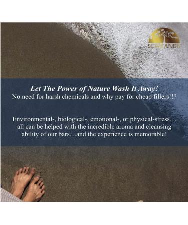 Organic Lemon Poppy Seed Bar Soap | 100% Pure Natural Exfoliating Luxury | Herbal Skin Detox with Essential Oils | 4 oz - Buy Online on GoSupps.com