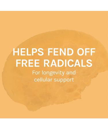 Fungi Perfecti Mesima 60 Veggie Caps - Immune Support & Wellness Supplement - Buy Online on GoSupps.com