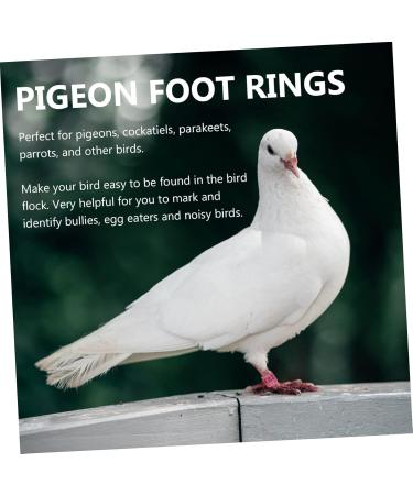 FRCOLOR 400 pcs Birds Pigeons Accessory Marker and Mixed Leash Leg Finch Thigh Ctr Bands- 1.1x0.8cm x4pcs Colorfulx4pcs - Buy Online on GoSupps.com
