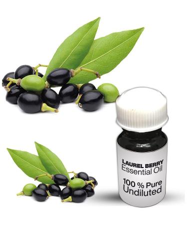 Laurel Berry Essential Oil / 100% pure laurel berry undiluted essential oil premium quality (25 ml)