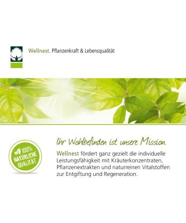 Wellnest Organic Goldenrod Concentrate 50ml - Kidney-Bladder Tonic (Solidago) with Instructions | International Shipping Available - Buy Online on GoSupps.com