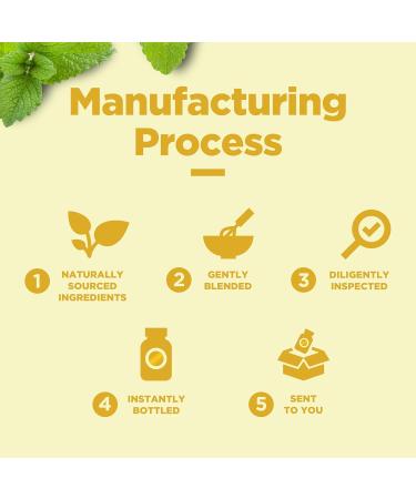 Phytoral Organic Lemon Balm Leaf Liquid Extract for Immune Support - Lemon Balm Tincture for Mood & Relaxation Support - Organic Tincture Leaf Drops for Adults & Kids Dietary Supplement - 2OZ 2 Fl Oz (Pack of 1) - Buy Online on GoSupps.com