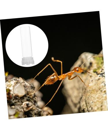 Yardwe Ants Water Dispenser & Irrigation Cup | Ant Feed & Holder Tools for Ant Nests | 10x3 cm - Buy Online on GoSupps.com