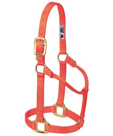 WEAVER Leather Non-adjustable halter blaze orange Average Horse