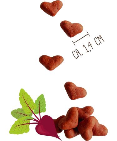 Sammy's Heartbreaker: Premium 800g Dog Snacks with Beetroot & Dandelion | Finely Baked & Healthy Treats - Buy Online on GoSupps.com