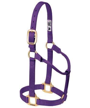 WEAVER Leather Non-adjustable Halter Purple Large Horse