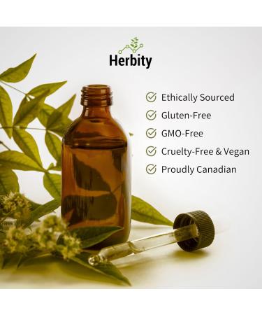 Ground Ivy Herbal Tincture Liquid Extract Quality Hand Crafted Natural Medicine Remedies Herb Formula Drops Non-GMO Vegan Gluten Free No Fillers (Glechoma hederacea) (250 ml (Pack of 1)) - Buy Online on GoSupps.com