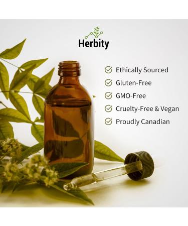 Herbity Turmeric Herbal Tincture Liquid Drop Extract Hand Crafted Natural Medicine Remedies Herb Formula Drops Non-GMO Vegan Gluten Free No Fillers (Curcuma longa) (250 ml (Pack of 1)) - Buy Online on GoSupps.com