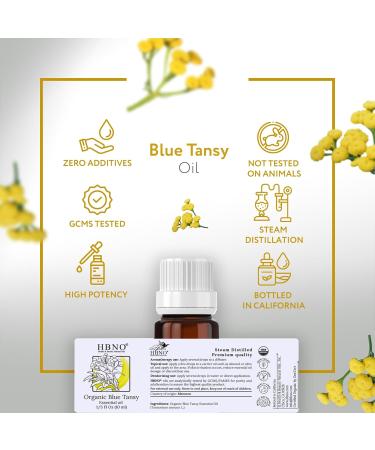 HBNO USDA Organic Blue Tansy Essential Oil - 1/3 OZ for Aromatherapy DIY Candle & Soap Making - Travel Size (10 ml - Buy Online on GoSupps.com