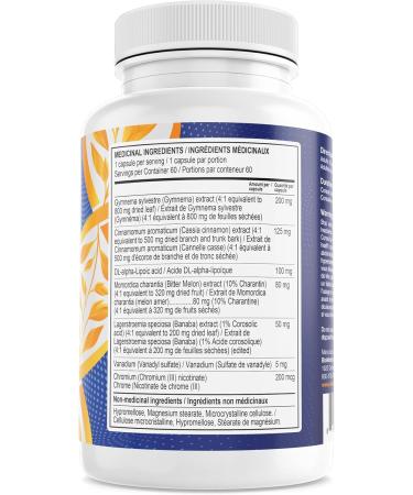 Blood Sugar Supplement Support Healthy Glucose Levels w/Cinnamon Gymnema Lipoic Acid Vanadyl Sulfate Chromium Picolinate Bitter Melon (60 Capsules) | 60 Day Supply - Buy Online on GoSupps.com