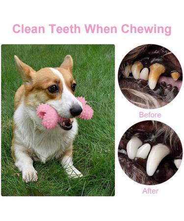 AnVerse 5 Pack Dog Toys Rope & Ball - Chewing & Dental Care Toys for Small Dogs - Pink - Buy Online on GoSupps.com
