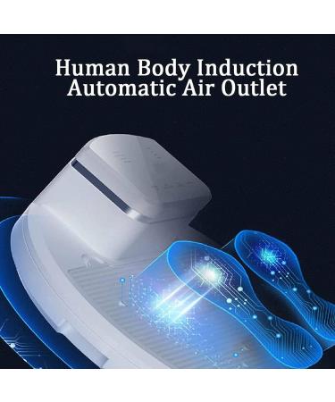 Negative Ion Skin Dryer Revolutionize Your Post-Shower Routine Negative Ions Body Hair Dryer - 300w Power Gravity Sensor and Foot Dryer for Home and Bathroom Use - Buy Online on GoSupps.com