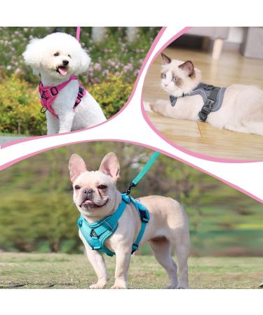 Adjustable Cat Dishes Set - Pink (M) | Soft Ergonomic Feeding Bowls for Cats & Dogs | International Shipping Available - Buy Online on GoSupps.com
