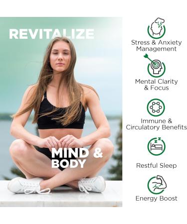 Nutrivein Premium Ashwagandha Supplement &, Quercetin with Vitamin C and Zinc Bundle: High-Absorption Zinc Quercetin & Ashwagandha Supplements for Whole-Body Wellness & Balance - Buy Online on GoSupps.com