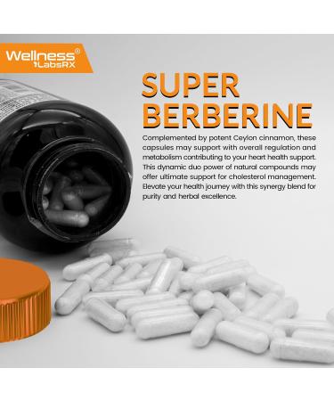 WELLNESS LABSRX Berberine 15 000mg - Third-Party Tested Berberine Supplement HCL with Ceylon Cinnamon Black Pepper Extract and Apple Cider Vinegar Heart Support Capsules - 120 Capsules - Pack of 1 120 Count (Pack of 1) - Buy Online on GoSupps.com
