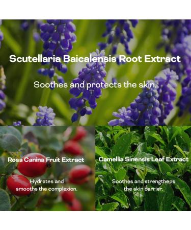 Keybo Official 3X Makeup Keeping Mist 3.4 fl oz (100 ml) Anti-Shine Fix Mist for All-Day Hold Smudge-Proof & Transfer-Proof Finish - Buy Online on GoSupps.com