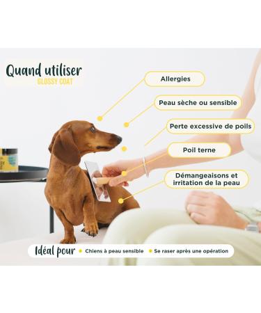 Wolf Belly - 100% Natural Anti-Itch Probiotic for Dogs (60 g) Soothes Atopic Dermatitis and Eczema Brewer's Yeast Powder Rich in Omega 3 and Vitamin B Healthy Skin - Made in Europe - Buy Online on GoSupps.com