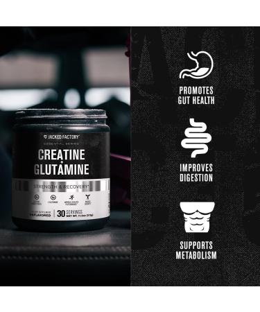 Jacked Factory Creatine + Glutamine - Creatine Supplement with L-Glutamine for Muscle Recovery Muscle Growth Increased Strength (30 Servings Unflavored & 30 Servings Blue Raspberry) - Buy Online on GoSupps.com