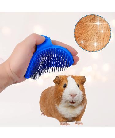Bunny Grooming Kit: Rabbit Brush, Hair Remover, Nail Clipper, Comb & Bath Brush in Blue - Buy Online on GoSupps.com