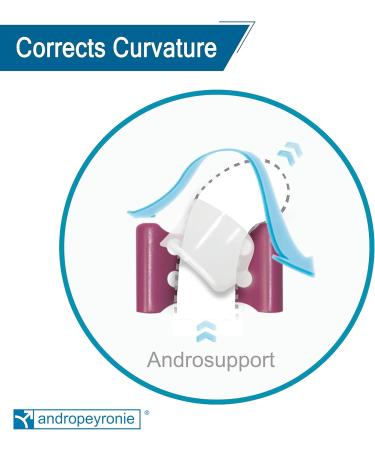 Andropeyronie | Andropenis Andropeyronie Model - by Andromedical CA - Buy Online on GoSupps.com