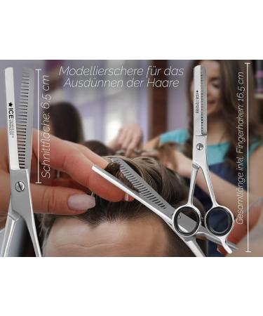 Premium Effilier Scissors - 6-Inch Hairdressing & Thinning Shears with Storage Case - Ideal for Professional Modeling & Styling - Buy Online on GoSupps.com