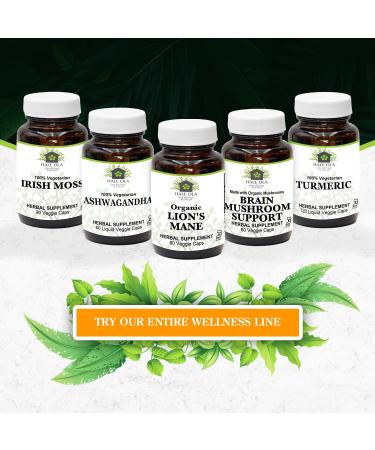 Hale Ola Lions Mane Supplement Capsules - Non-GMO & Kosher Certified Lions Mane Mushroom Capsule for Cognitive Function Nerve Health Brain Cell Growth Improve Focus & Memory - 60 Capsules - Buy Online on GoSupps.com