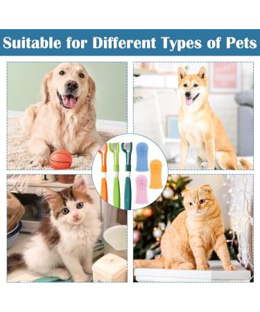 6-Piece Dog Dental Care Set | Toothbrush & Finger Brush with Storage Box | Pet Dental Hygiene for All Pets - Buy Online on GoSupps.com