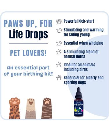 PhytoPet Life Drops | Natural Herbal Stimulant for Newborn & Elderly Pets | Ideal for Puppies Kittens Birds Foals | 10ml - Buy Online on GoSupps.com