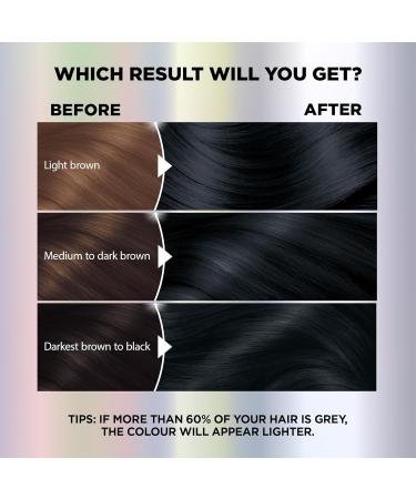 Garnier Nutrisse Ultra Color Permanent Hair Dye Vibrant Long-Lasting Colour Vegan Formula Nourished Hair Protects Hair Against Dryness 117 Intense Ash Black 1 Application Packaging May Vary BLACK/BLUE SHADES 117 Intense Ash Black - Buy Online on GoSupps.com