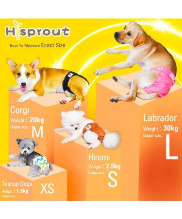 Hisprout Female Dog Diaper - Reusable Washable & Durable Pants for Dogs | Gray Footprints MM Size - Buy Online on GoSupps.com