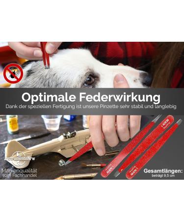 Professional Tweezers Set - 3 Sloped Pointed & Straight Stainless Steel - 9.5 cm | Precision for Perfect Grooming - Buy Online on GoSupps.com