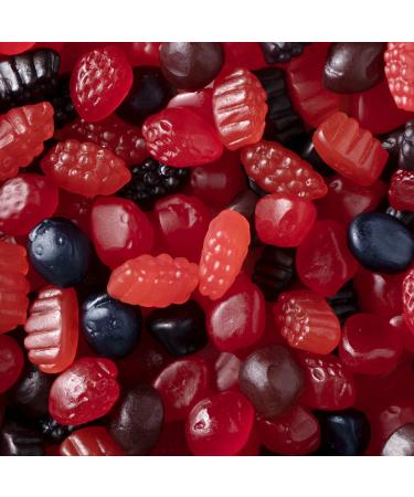 Welch's Fruit Snacks Mixed Fruit & Berries - Gluten Free Bulk Pack (110 Individual Bags, 0.9 oz Each) - Buy Online on GoSupps.com