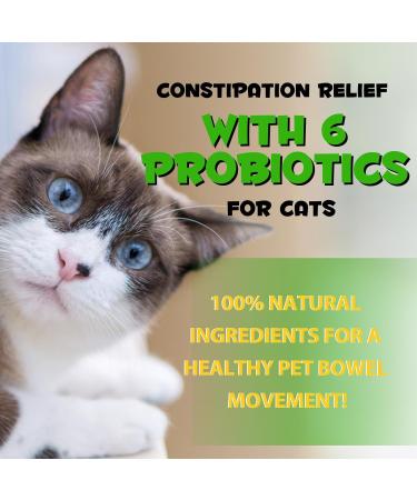 Cat Constipation Relief Constipation Relief for Cats Natural Cat Laxatives for Constipation Cat Stool Softener 2 fl.oz - Buy Online on GoSupps.com