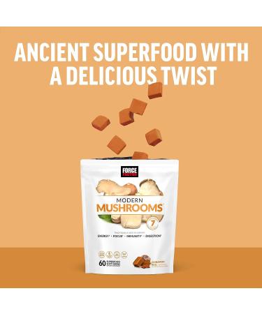 Force Factor Modern Mushrooms Soft Chews - Energy, Focus, Immunity & Digestion Support with Cordyceps, Turkey Tail, Chaga, Reishi & Lion's Mane - Cinnamon Roll Flavor | 60 Chews - Buy Online on GoSupps.com