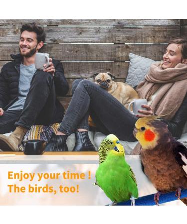 MoHern Bird Perch Toys - Colorful Parrot Stand, Sleep & Chew 4 Pcs Set - Buy Online on GoSupps.com