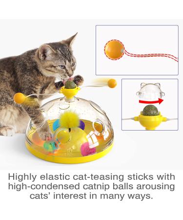 AOCCIT Interactive Cat Toy - Indoor Kitten Teaser Supplies for Enrichment and Playtime | Birthday Gift Cat Treasure Chest - B - Buy Online on GoSupps.com