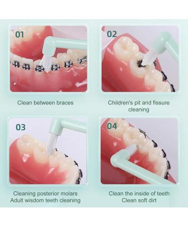 Trim Toothbrush & Interdental Brushes for Braces | Small Rounded Head | Premium Oral Hygiene Tools - Buy Online on GoSupps.com