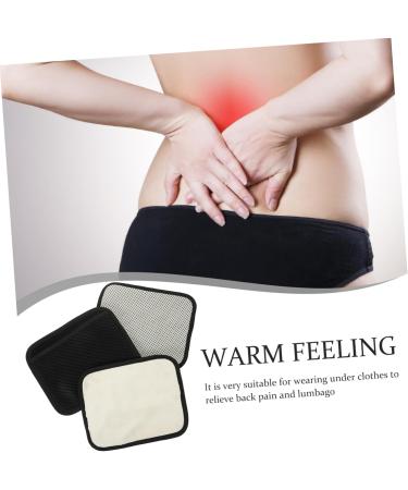 BUIFULSIC 3ST Waist Cushion - Breathable Lumbar Support & Heating Fleece Base | Multi-functional Vertebrae Cushion for Sports & Comfort - Buy Online on GoSupps.com