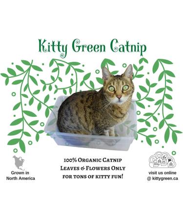 Organic Catnip by Kitty Green Grown in North America. - Buy Online on GoSupps.com